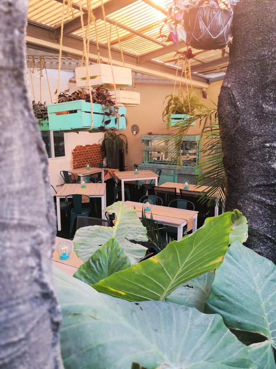 Meraki Boutique Hotel グアテマラシティ エクステリア 写真